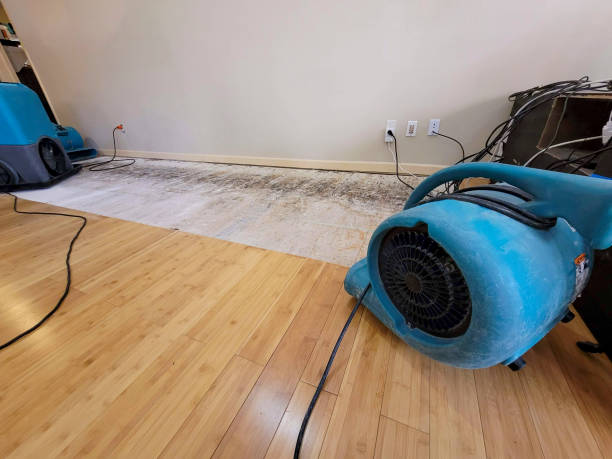 Professional Water Damage Repair technician working in Monaca, PA